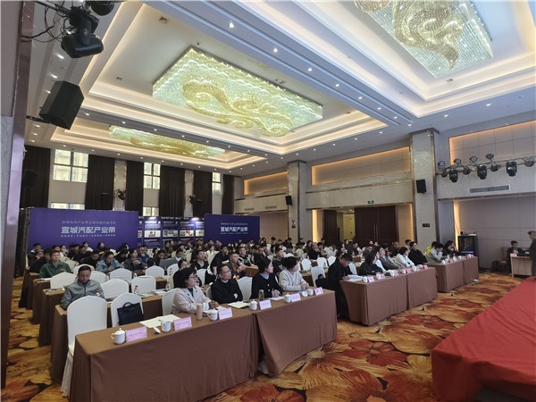 宣城汽配產業帶揚帆出海，跨境電商專場對接賦能企業建站新篇